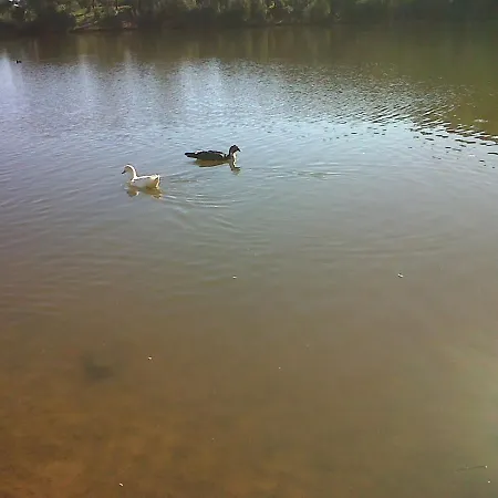 Nettuno 펜션 카포텔라